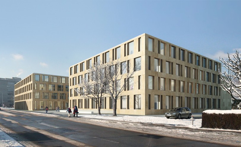 Cejef