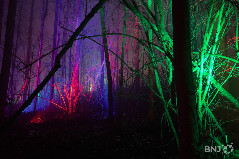 Broye Luminis a pris ses quartiers dans le bois de la Faye, à quelques encablures d'Estavayer-le-Lac.