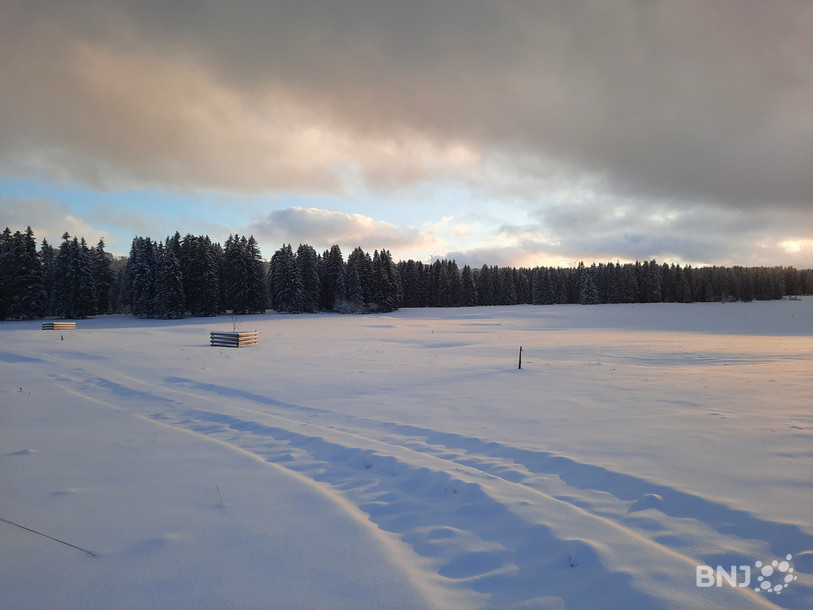 Un paysage visible depuis les pistes de ski de fond aux Franches-Montagnes.