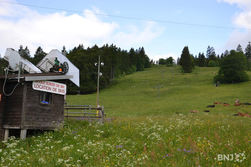 La Vue-des-Alpes