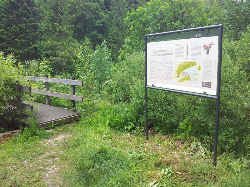 Etang Bollement