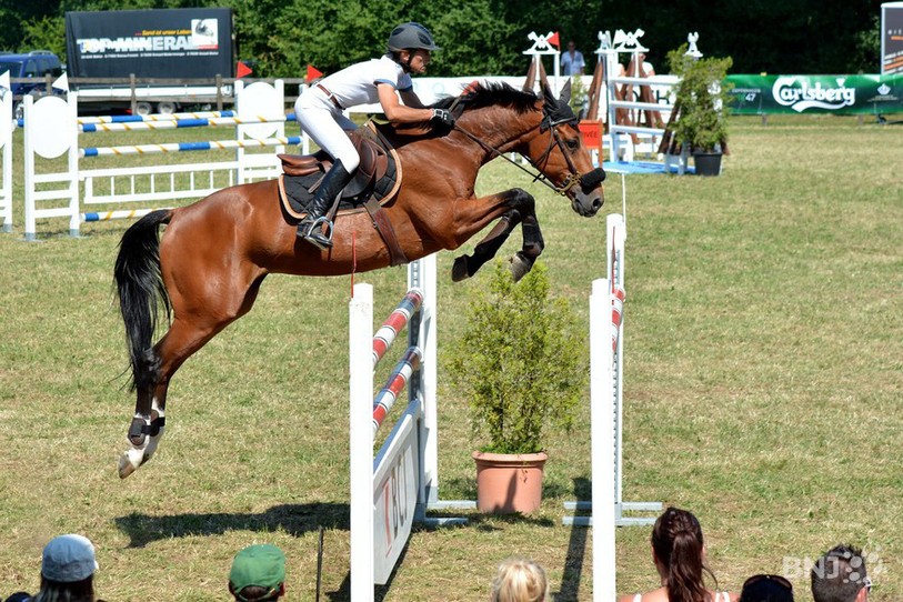 Les Journées Equestres auront lieu du 11 au 13 juillet au-dessus de Tavannes.