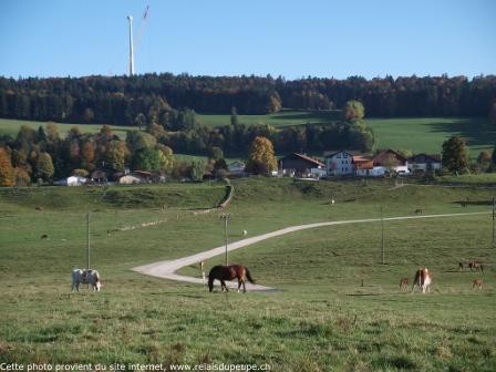 peu-péquignot