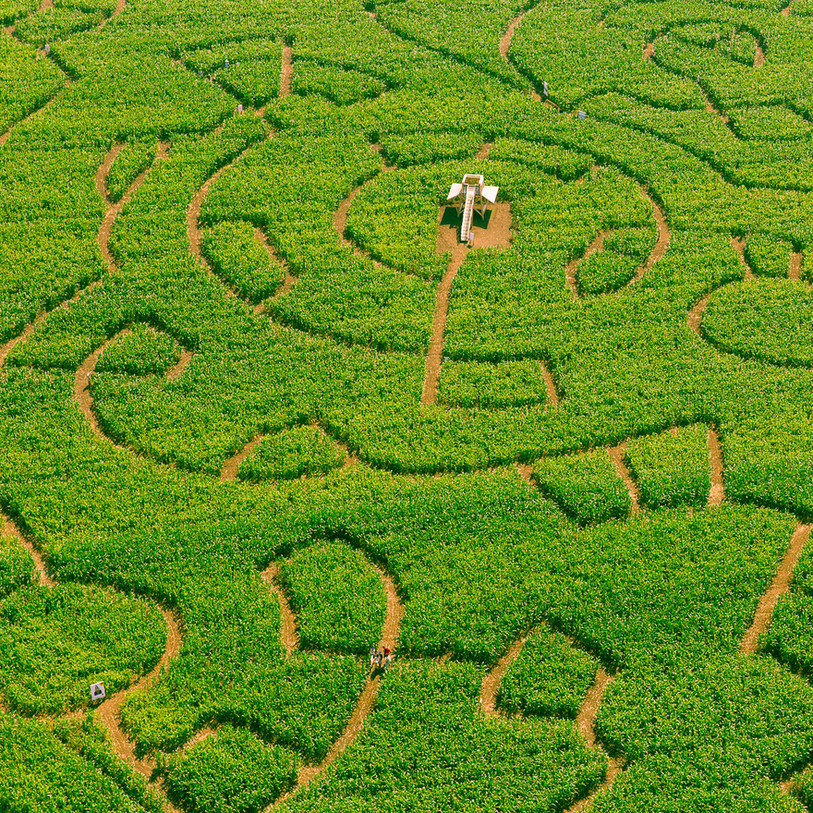 Swiss Labyrinthe