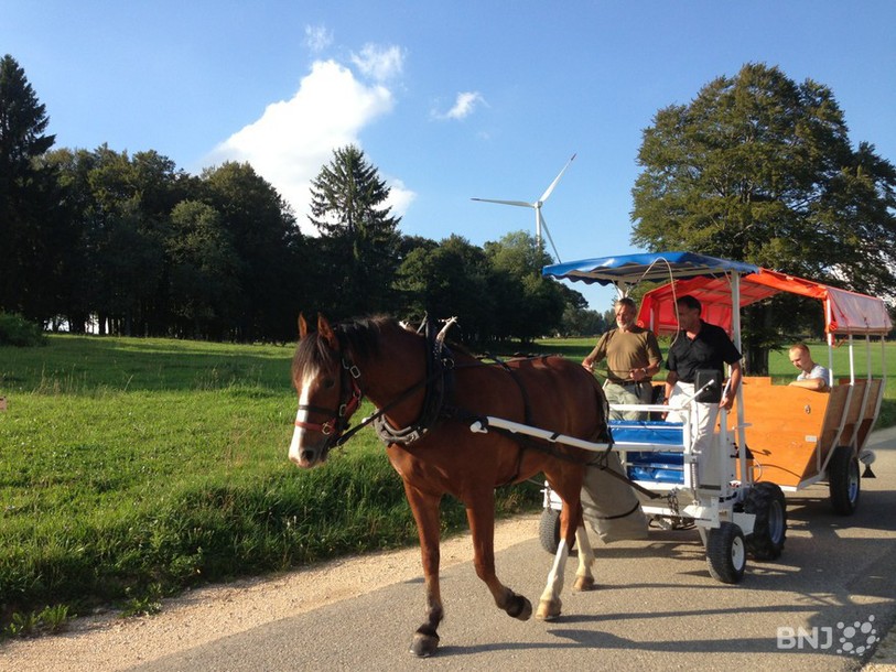Le Docker se situe entre le cheval et son attelage et permet au cocher de s'asseoir dessus également