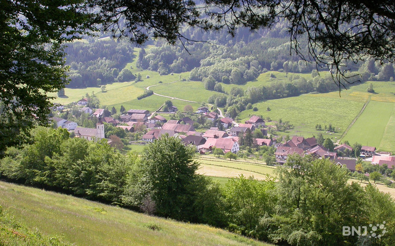 Vue panoramique de Soulce