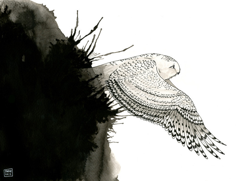 Marie Monnerat