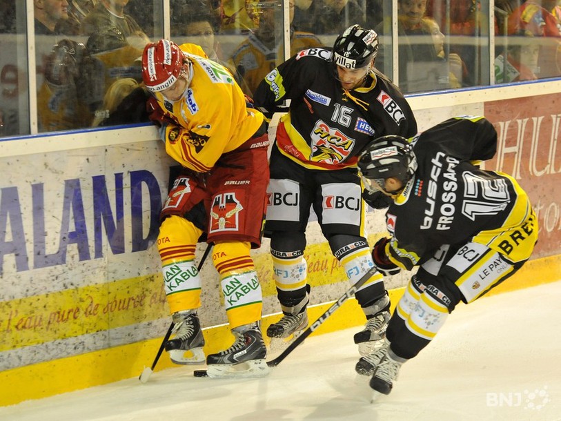 HC Ajoie-Langnau Tigers