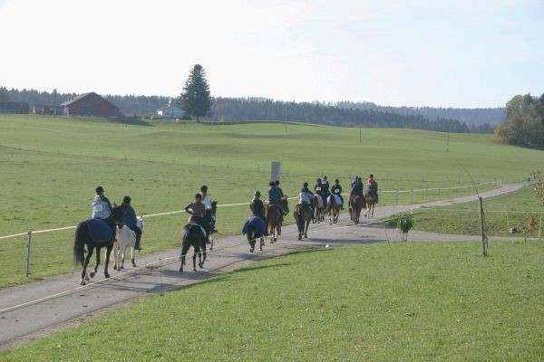 (photo site internet Franches Equi Trail)