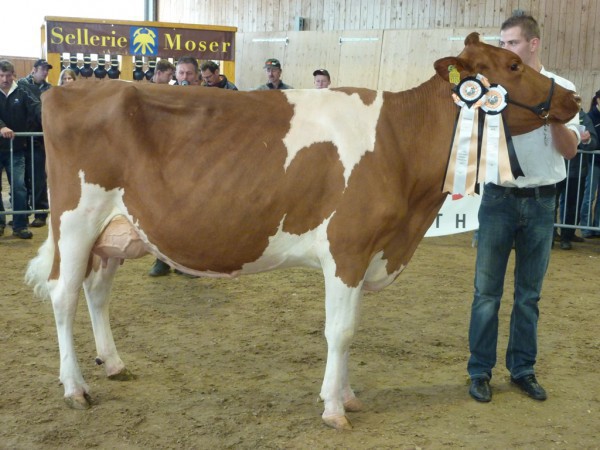 Long'vies Talent Tendresse Habegger