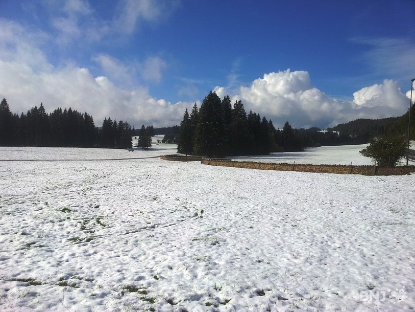 Premières neiges entre Saint-Brais et Montfaucon