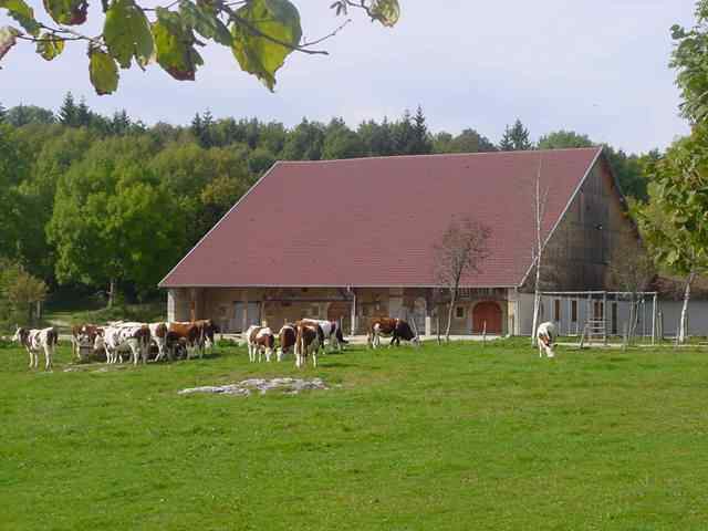 Ferme