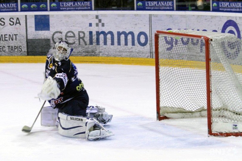 HCC, Damiano Ciaccio