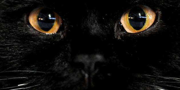 Pour Les Nuls Rtn Votre Radio Regionale