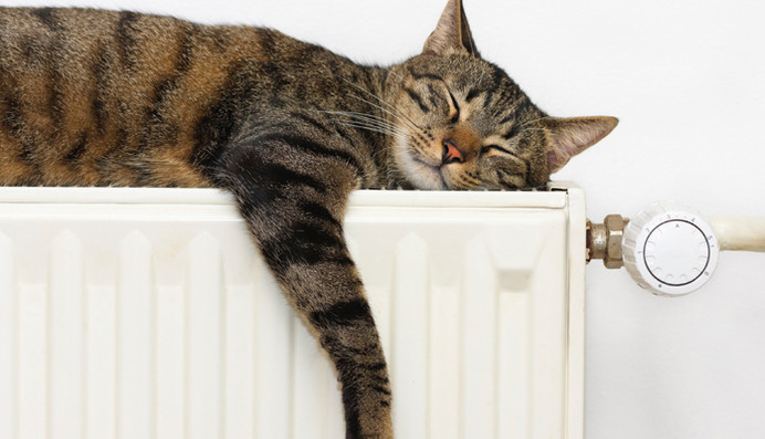 Les températures chaudes dans les logis seraient favorables pour garder la ligne, Minou le sait bien !