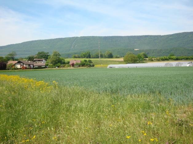 Le lieu-dit Derrière-le-Château