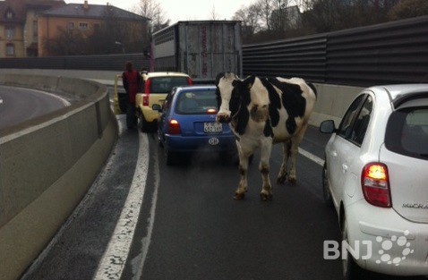Tranquille, la Germaine ! 