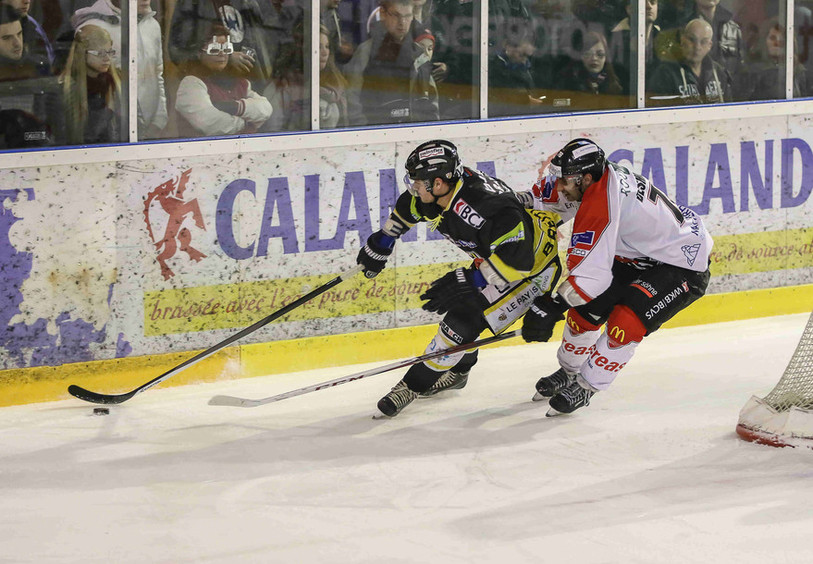 HC Ajoie-Viège