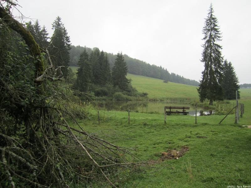 Jura Rando, Lajoux