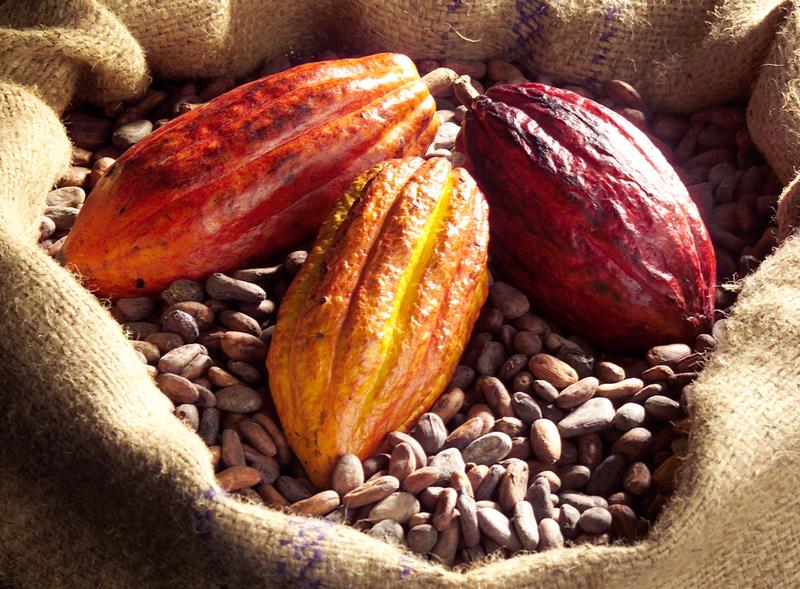 L’année dernière, nous avons consommé plus de 4 millions de tonnes de cacao, soit 32% de plus qu'il y a 10 ans. 