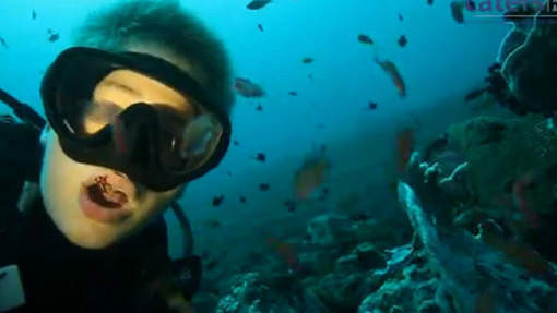 Russel a découvert une technique particulière pour faire disparaître sa plaque dentaire : se faire nettoyer les dents par des crevettes…