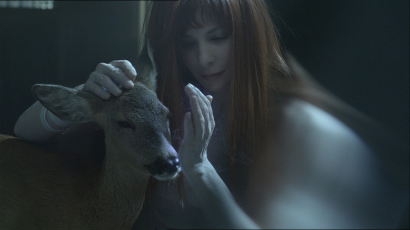 Mylène Farmer libère des animaux de laboratoires dans son clip 