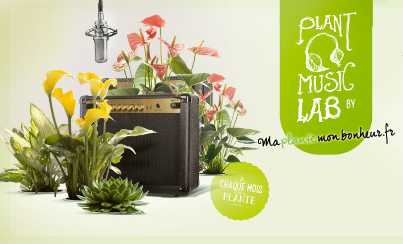 Que ce soit du Mozart ou du Stromaé, votre plante absorbe les notes de musique et peut les retranscrire.