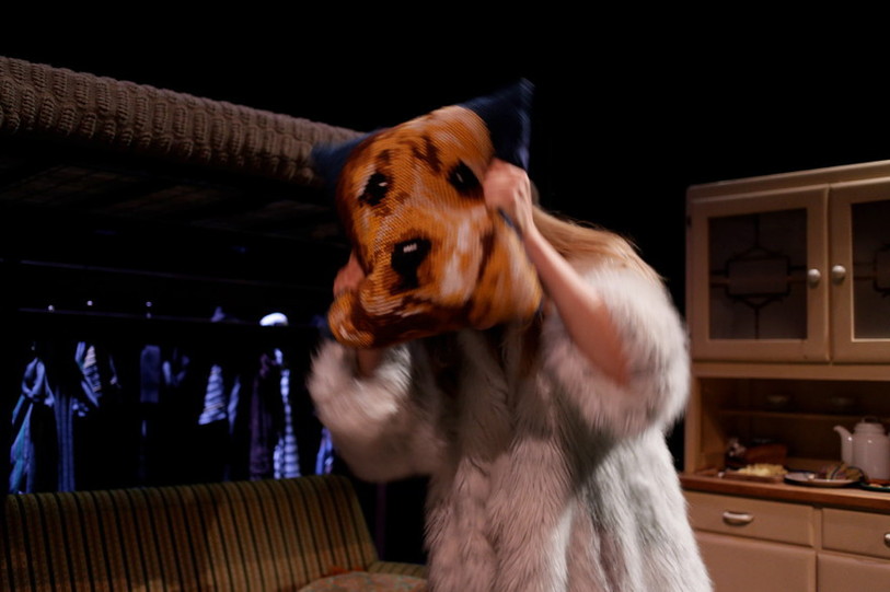 L'arrivée de la chienne Loliletta va boulverser la vie de Haktor, le chien de bateau.