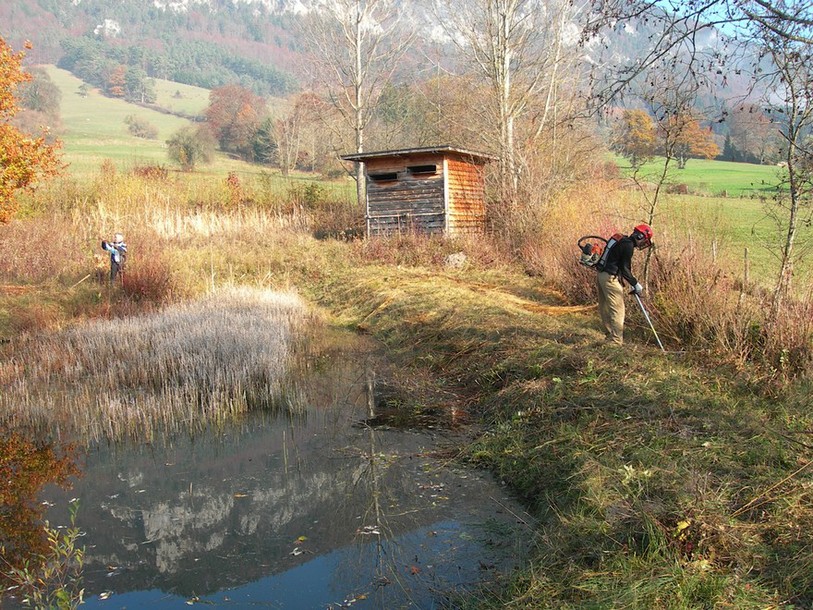 Le club d'ornithologie de Moutier et environ a notamment créés des biotopes au cours de ses 40 ans d'existence (photo ldd)