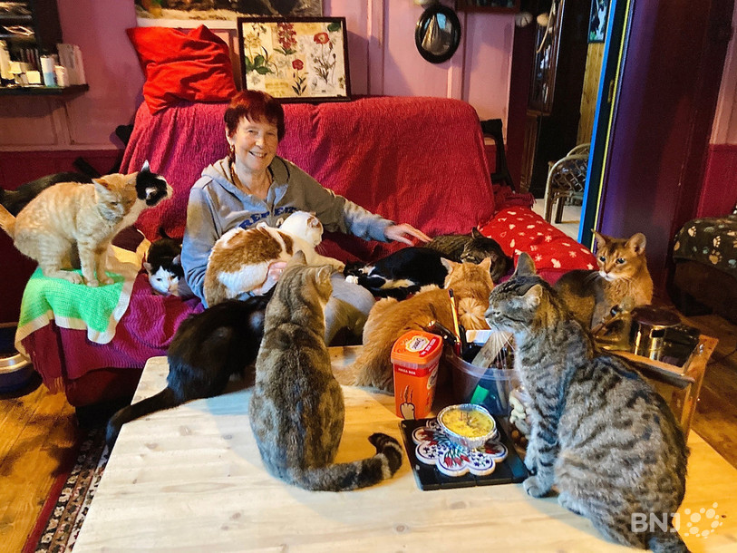 SOS Chats a recueillis plus de 3500 chats errants en quarante ans.