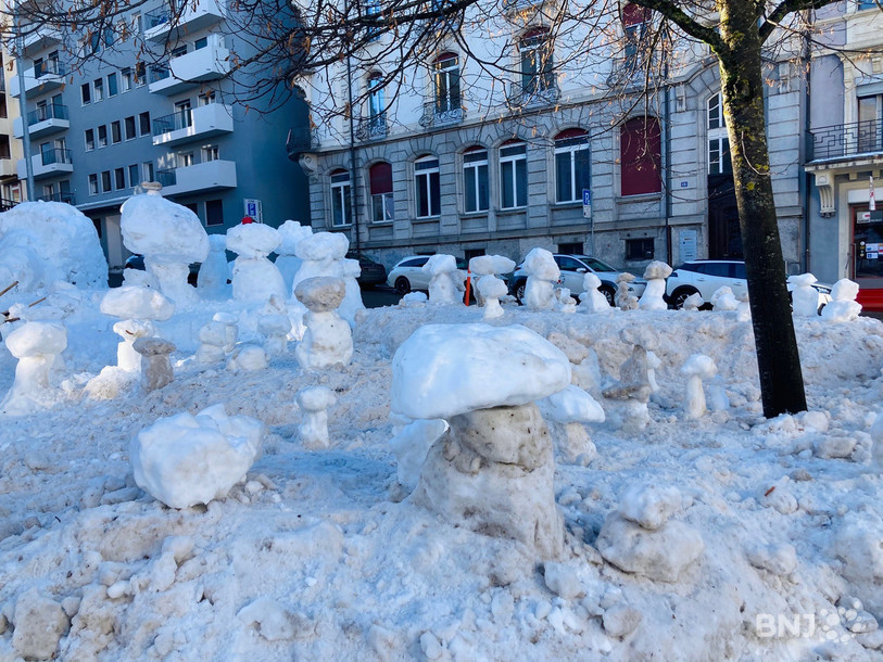 L'équipe « Oratory's Crew » s'est inspirée de « L'étoile mystérieuse » de l'album Tintin pour réaliser une île aux champignons.
