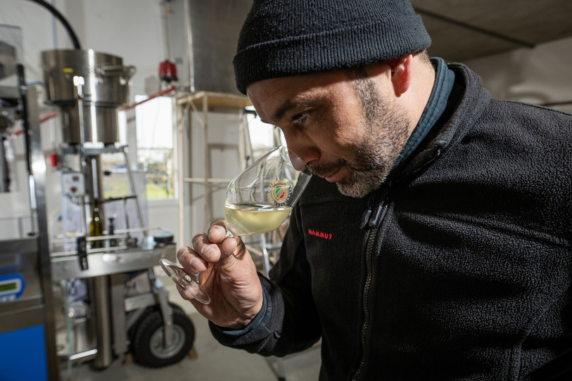 Un nouveau millésime plus vivace et acide pour Sébastien Jendly, responsable du Domaine Hôpital Pourtalès. (photo : Neuchâtel Vins et Terroirs)