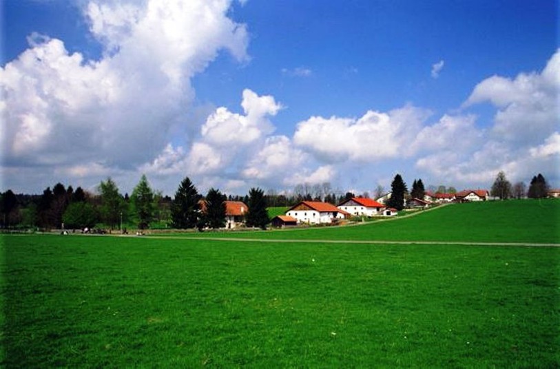 Franches-Montagnes
