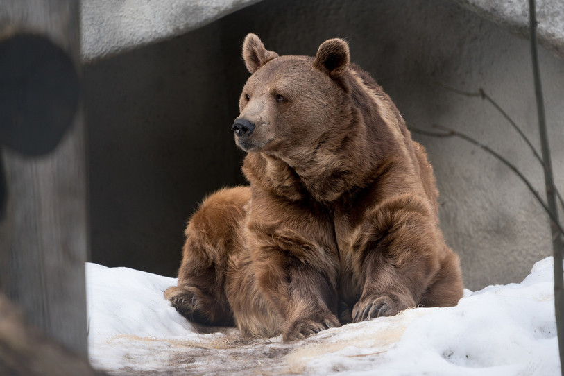 Haydibay avait 35 ans (Photo: David Guerra)