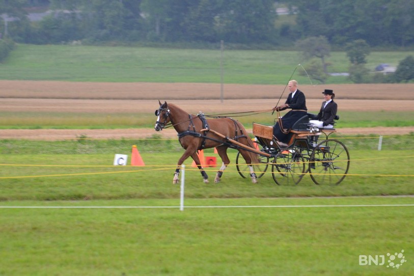 Boudevilliers accueillait samedi le concours officiel de la Société neuchâteloise d'attelage.