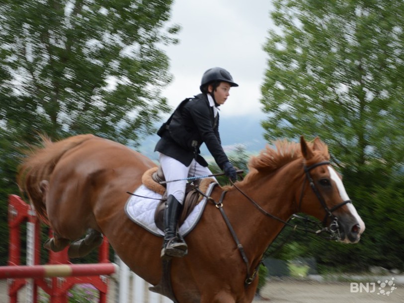 hippisme