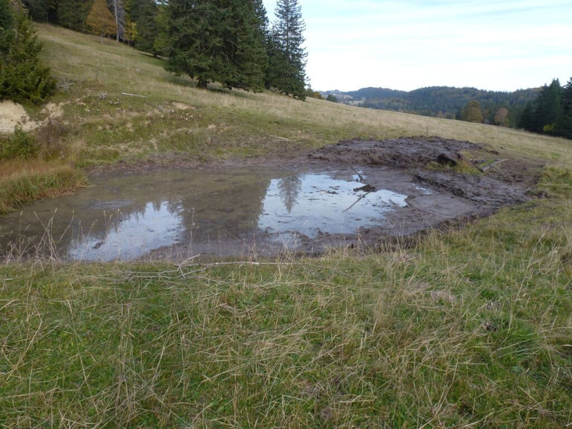 La mare Pierrefeu pourra aider à favoriser la biodiversité. (Photo : Parc Chasseral)