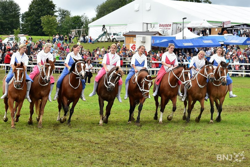 Le quadrille, habituellement présenté au Marché-Concours (ici lors de l'édition 2014), sera proposé au public d'Equissima
