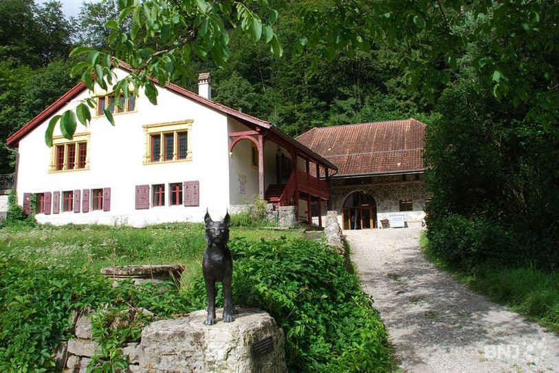 Le rural est situé juste derrière la Maison Rousseau, qui propose une trentaire de lits pour les camps verts.