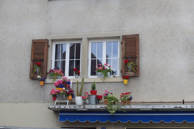 Le premier prix du concours, chez Monique Simon