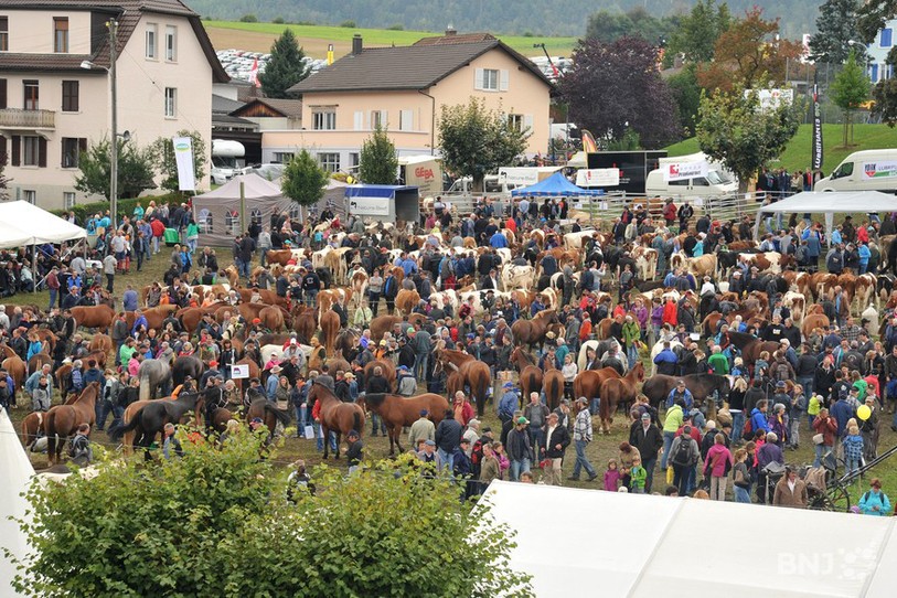La Foire de Chaindon