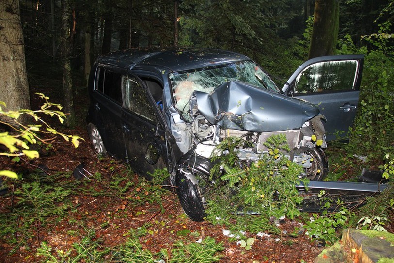 Le véhicule de l'automobiliste assoupi a terminé sa course contre un arbre (photo ldd)