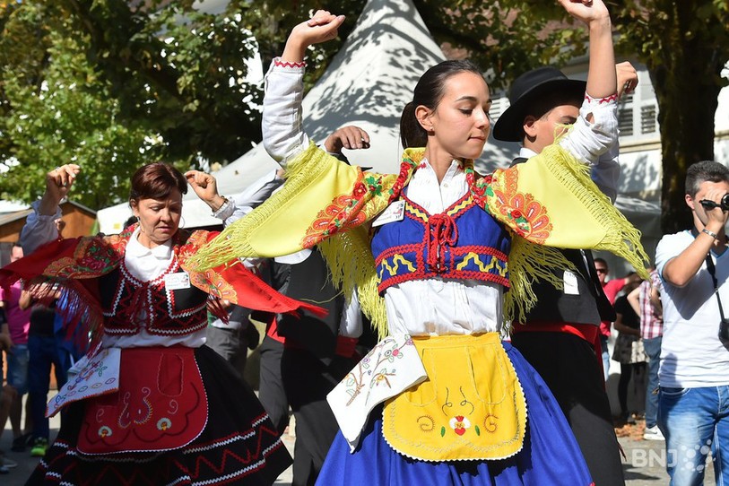Le Festival notes d'Equinoxe 2014