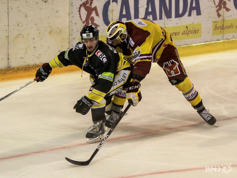 HCA-GSHC