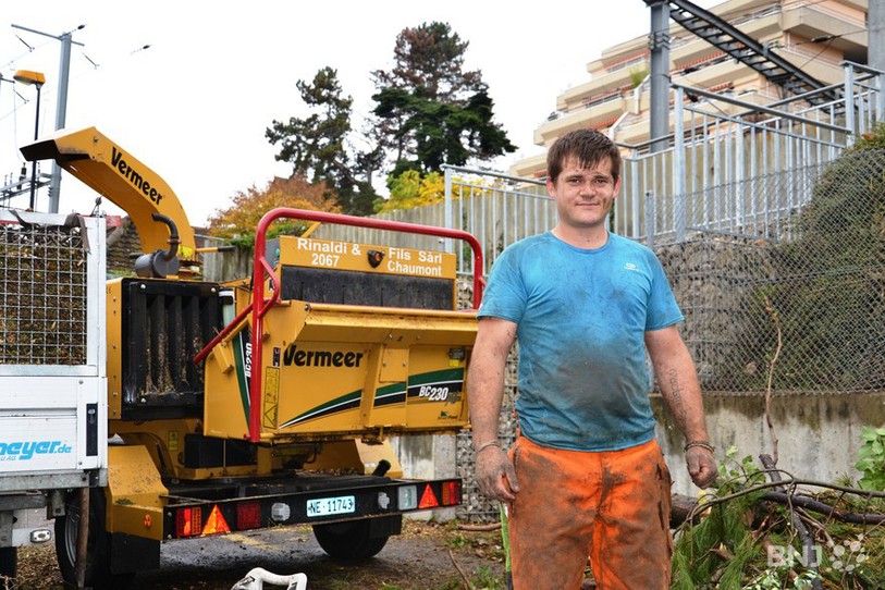 Une dizaine d'arbres a été abattue à la rue des Trois-Portes à Neuchâtel pour permettre l'installation de parois antibruit.