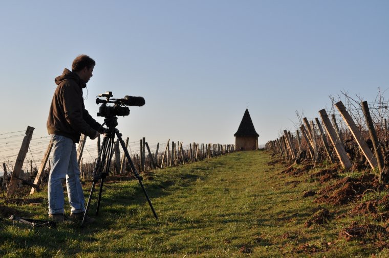 Dans les vignes © Guillaume Bodin