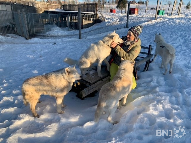 A l'inverse de la neige, l'amour que Danièle Tock porte à ses chiens ne fond pas.