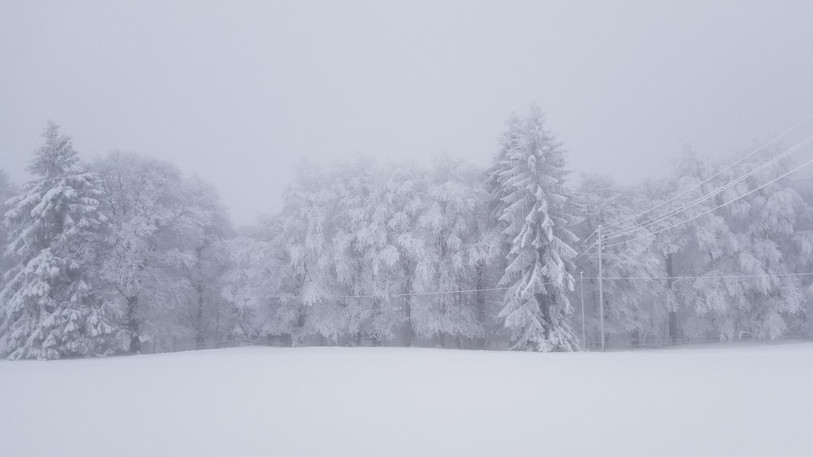 Ce cliché se trouve dans le livre-photo « Valbirse en hiver » réalisé par Marie Sprunger. (Photo: Marie Sprunger)