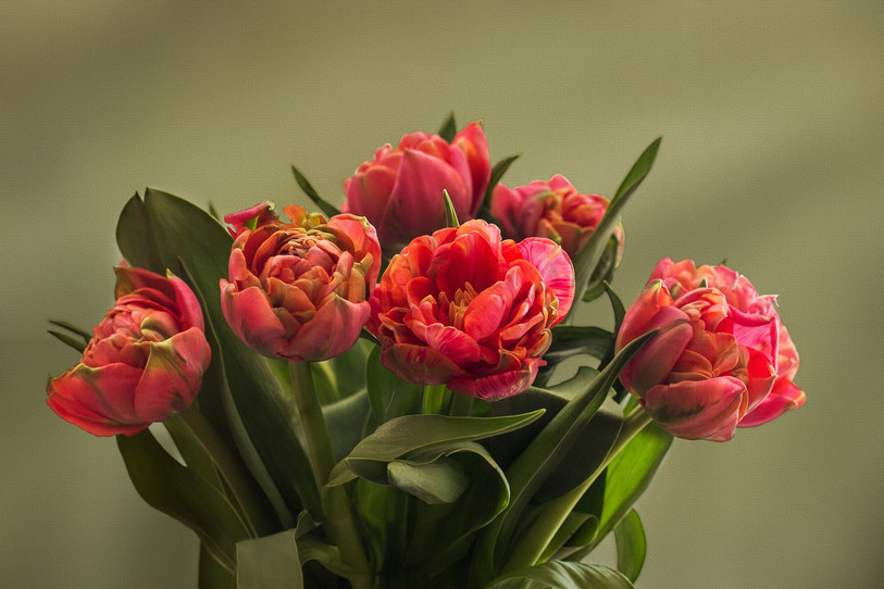 Les bouquets de fleurs figurent en tête de liste des cadeaux offerts à la St-Valentin. (Photo : libre de droits).