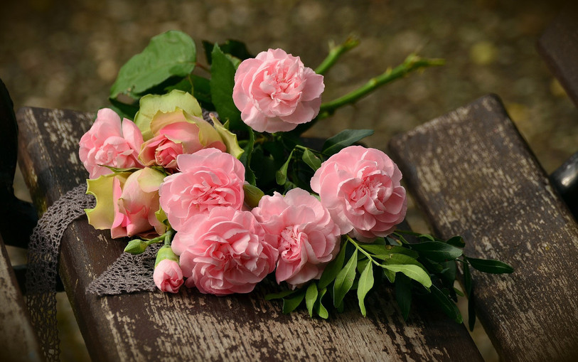 Les roses ne poussent pas aux alentours de la St-Valentin. (Photo : image d'illustration).